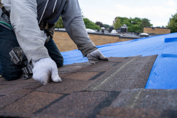 Quick and Trustworthy Emergency Roof Repair Services in Bonnie Brae, IL