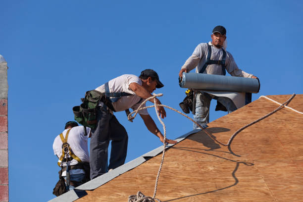 Best Emergency Roof Repair  in Bonnie Brae, IL