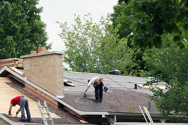 Best Roof Repair Services  in Bonnie Brae, IL