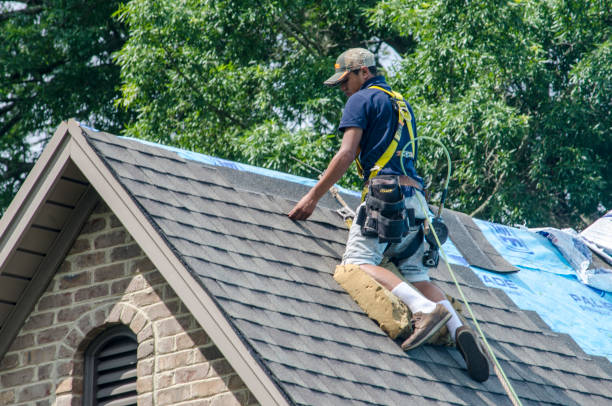 Best Emergency Roof Repair  in Bonnie Brae, IL